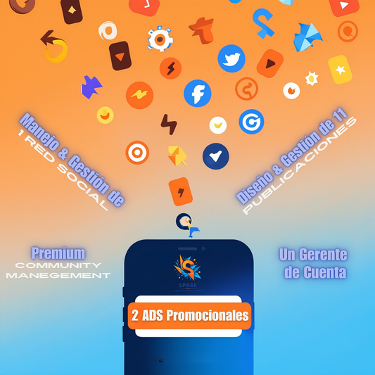 Manejo de Redes Sociales Standart